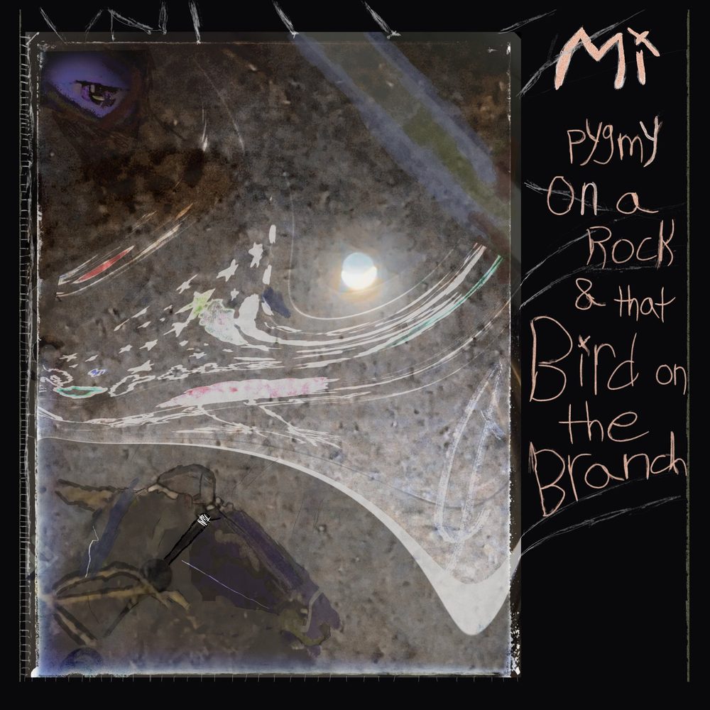 Pygmy on a Rock and That Bird on the Branch cover art
